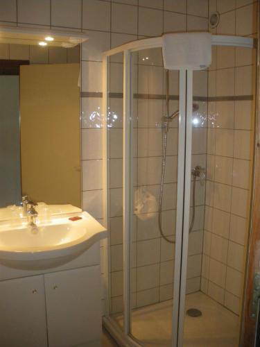 Le Grand Tetras Morzine
